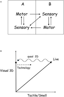 Online Communication and Body Language